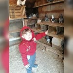 Vedat