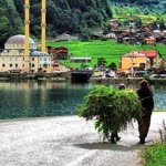 Deniz