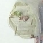 Sebahattin