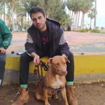 Mehmet