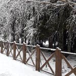 Ayhan