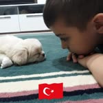 Osman