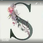 Sude