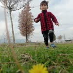 Gülçin
