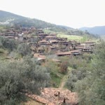 Sedat