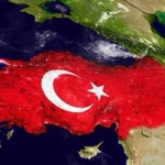 Nedim