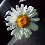 Hatice