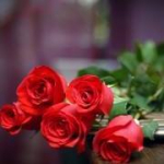 Nesrin