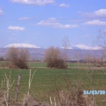 Erdin