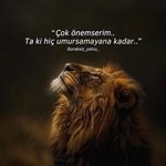 Şule