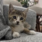Zeynep