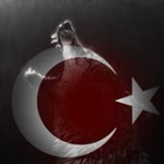 Vedat