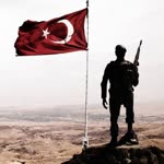 Alper