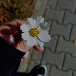 Esra
