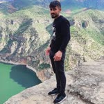 Şahin
