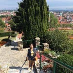 Burçak