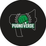 Pugno
