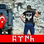 Hamit