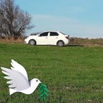 Zekeriya