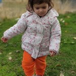 Inan