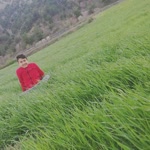 Alperen