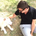 Tolga
