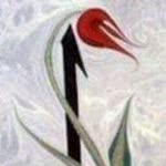 Nuray