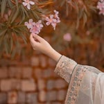 Ayşenur