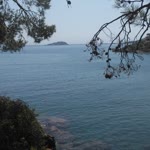 Şadiye