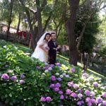 Dilan