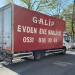 Galip