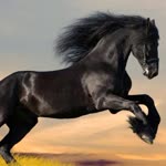 Kerim