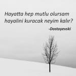 Suat