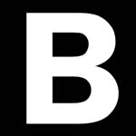 Bilgin