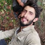 Şahin