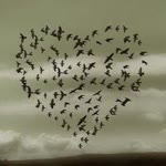Hatice