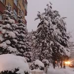 Aysun