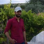 Suleyman