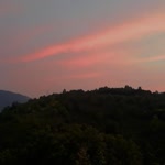 Mücella