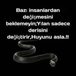 Bayram