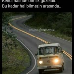 Cnsege