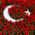 Beyza