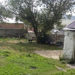 Süeda