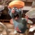 profile-icon