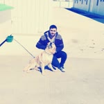 Umut