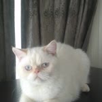 Filiz