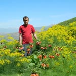 Cemal