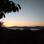 Gece