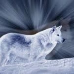 Dilek