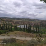 Gül